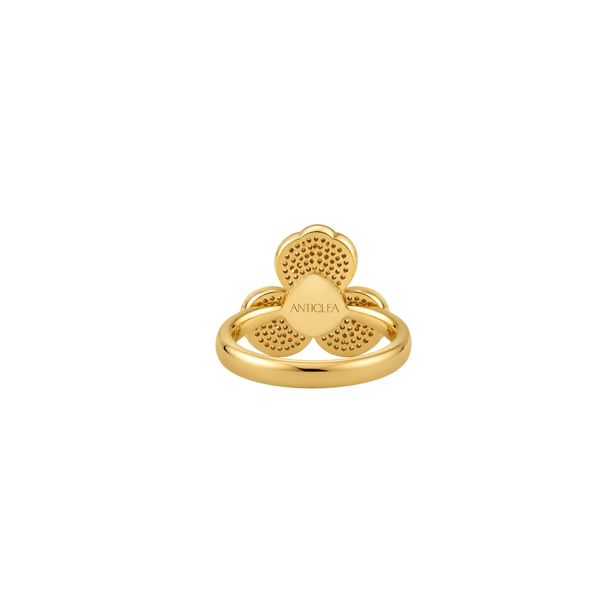 HYDRANGEA RINGS